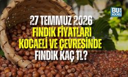 27 TEMMUZ FINDIK FİYATLARI: KOCAELİ VE ÇEVRESİNDE FINDIK KAÇ TL?