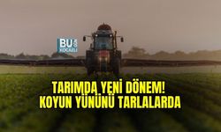 TARIMDA YENİ DÖNEM! KOYUN YÜNÜNÜ TARLALARA SERMEYE BAŞLADILAR: TOPRAĞI CANLANDIRIYOR