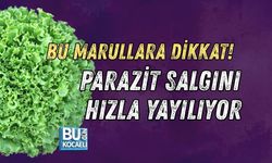 BU MARULLARA DİKKAT! PARAZİT SALGINI EYALET EYALET YAYILIYOR