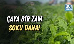 ÇAYA BİR ZAM ŞOKU DAHA! FİYATLAR YİNE ARTTI