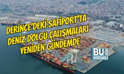 DERİNCE'DEKİ SAFİPORT'TA DENİZ DOLGU ÇALIŞMALARI YENİDEN GÜNDEMDE