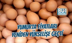 YUMURTA FİYATLARI YENİDEN YÜKSELİŞE GEÇTİ: DUBLE 3,10 LİRA OLDU