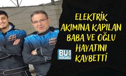ELEKTRİK AKIMINA KAPILAN BABA VE OĞLU HAYATINI KAYBETTİ