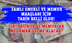 ZAMLI EMEKLİ VE MEMUR MAAŞLARI İÇİN TARİH BELLİ OLDU! SSK, BAĞ-KUR VE MEMURLAR NE ZAMAN ÖDEME ALACAK?