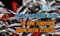 HAMSİ TAHTINDAN OLDU: EN ÇOK TÜKETİLEN BALIK ARTIK O DEĞİL!
