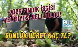 2026 FINDIK İŞÇİSİ YEVMİYESİ BELLİ OLDU! GÜNLÜK ÜCRET KAÇ TL?
