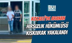 KOCAELİ'DE ARANAN HIRSIZLIK HÜKÜMLÜSÜ KISKIVRAK YAKALANDI