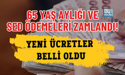 65 YAŞ AYLIĞI VE SED ÖDEMELERİ ZAMLANDI! YENİ ÜCRETLER BELLİ OLDU