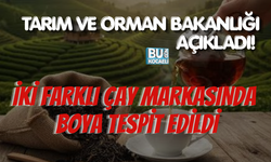 TARIM VE ORMAN BAKANLIĞI AÇIKLADI! İKİ FARLI ÇAY MARKASINDA BOYA TESPİT EDİLDİ