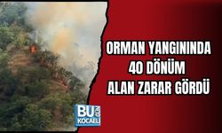 ORMAN YANGININDA 40 DÖNÜM ALAN ZARAR GÖRDÜ