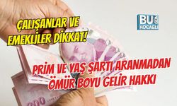 ÇALIŞANLAR VE EMEKLİLER DİKKAT! PRİM VE YAŞ ŞARTI ARANMADAN ÖMÜR BOYU GELİR HAKKI