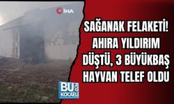 SAĞANAK FELAKETİ! AHIRA YILDIRIM DÜŞTÜ, 3 BÜYÜKBAŞ HAYVAN TELEF OLDU
