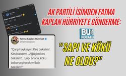 AK PARTİLİ İSİMDEN FATMA KAPLAN HÜRRİYET'E GÖNDERME: "SAPI VE KÖKÜ NE OLDU?"