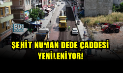 GEBZE’DE ŞEHİT NUMAN DEDE CADDESİ YENİLENİYOR! ULAŞIMDA KONFOR ARTACAK