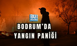 MUĞLA-BODRUM YOLUNDA YANGIN PANİĞİ! YOĞUN DUMAN ULAŞIMI ETKİLEDİ
