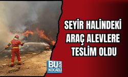 SEYİR HALİNDEKİ ARAÇ ALEVLERE TESLİM OLDU