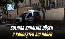 SULAMA KANALINA DÜŞEN 2 KARDEŞTEN ACI HABER