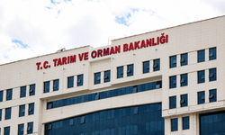 TARIM VE ORMAN BAKANLIĞI 1874 PERSONEL ALIMI İÇİN GÖZLER BAŞVURU TARİHİNDE! KADRO DAĞILIMI BELLİ OLDU
