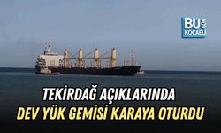TEKİRDAĞ AÇIKLARINDA DEV YÜK GEMİSİ KARAYA OTURDU