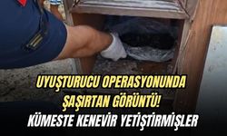 UYUŞTURUCU OPERASYONUNDA ŞAŞIRTAN GÖRÜNTÜ! KÜMESTE KENEVİR YETİŞTİRMİŞLER