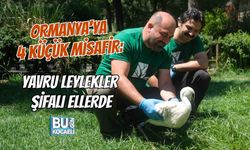 ORMANYA’YA 4 KÜÇÜK MİSAFİR: YAVRU LEYLEKLER ŞİFALI ELLERDE