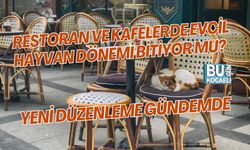 RESTORAN VE KAFELERDE EVCİL HAYVAN DÖNEMİ BİTİYOR MU? YENİ DÜZENLEME GÜNDEMDE