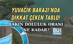 KOCAELİ YUVACIK BARAJI'NDA DİKKAT ÇEKEN TABLO! BAKIN DOLULUK ORANI NE KADAR?