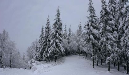 Kocaeli Haber -  Kartepe Kış Masalı Gibi