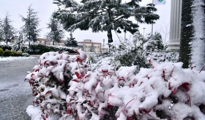 Kocaeli Haber - Umuttepe'den Kar Manzaraları