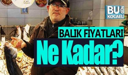 Kocaeli haber - Marmara’da etkili olan kar yağışı balık fiyatlarını uçurdu