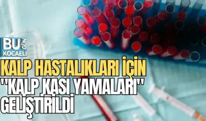 KALP HASTALIKLARI İÇİN "KALP KASI YAMALARI" GELİŞTİRİLDİ
