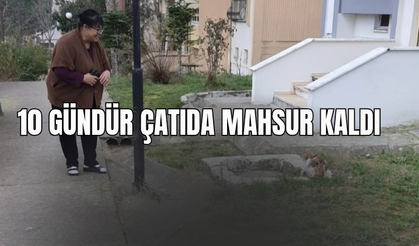10 GÜNDÜR ÇATIDA MAHSUR KALDI 