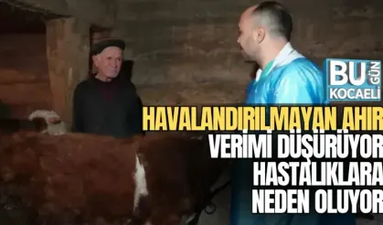 HAVALANDIRILMAYAN AHIR VERİMİ DÜŞÜRÜYOR, HASTALIKLARA NEDEN OLUYOR