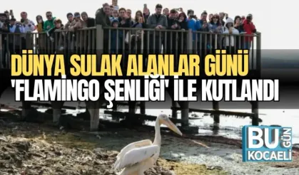 DÜNYA SULAK ALANLAR GÜNÜ, 'FLAMİNGO ŞENLİĞİ' İLE KUTLANDI