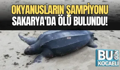 OKYANUSLARIN ŞAMPİYONU SAKARYA'DA ÖLÜ BULUNDU!