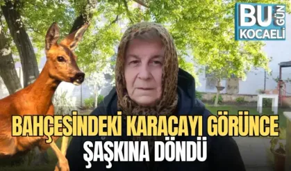 BAHÇESİNDEKİ KARACAYI GÖRÜNCE ŞAŞKINA DÖNDÜ