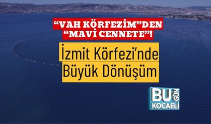 “Vah Körfezim”den “Mavi Cennete”! İzmit Körfezi’nde Büyük Dönüşüm