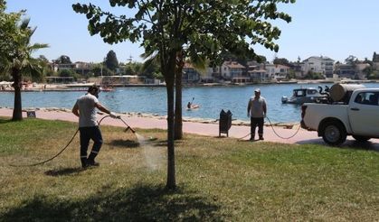 Darıca’da Yeşil Alanlar Artık Daha Güvenli