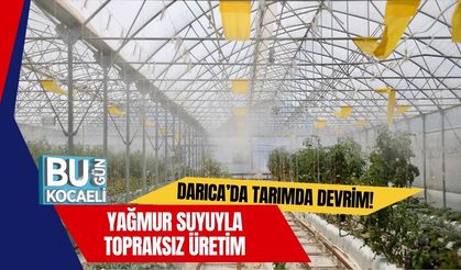 Darıca’da Tarımda Devrim! Yağmur Suyuyla Topraksız Üretim