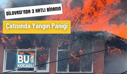 Dilovası’nda 3 Katlı Binanın Çatısında Yangın Paniği
