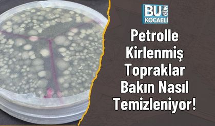 Petrolle Kirlenmiş Topraklar Bakın Nasıl Temizleniyor!