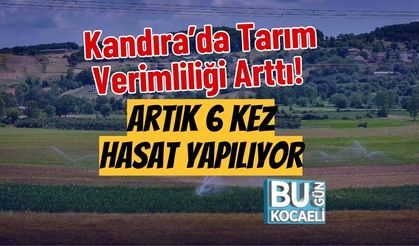 Kandıra’da Tarım Verimliliği Arttı! Artık 6 Kez Hasat Yapılıyor