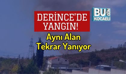 Derince’de Yangın! Aynı Alan Tekrar Yanıyor