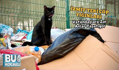 İzmit’teki Çöp Yığınları Vatandaşlara Zor Anlar Yaşatıyor