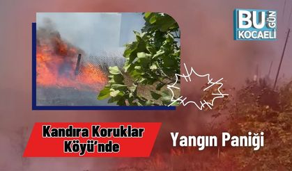 Kandıra Koruklar Köyü’nde Yangın Başladı