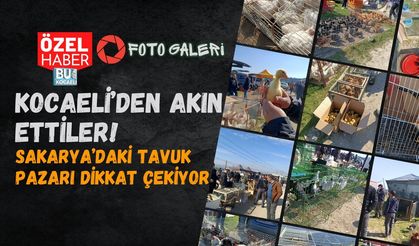 KOCAELİ’DEN AKIN ETTİLER! SAKARYA’DAKİ TAVUK PAZARI DİKKAT ÇEKİYOR