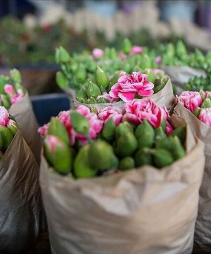 8 MART DÜNYA KADINLAR GÜNÜ MESAJLARI 2026: RESİMLİ VE DUYGUSAL SÖZLER