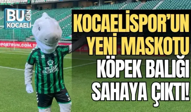 KOCAELİSPOR’UN YENİ MASKOTU KÖPEK BALIĞI SAHAYA ÇIKTI!