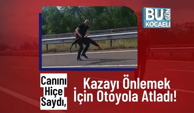 Canını Hiçe Saydı, Kazayı Önlemek İçin Otoyola Atladı!
