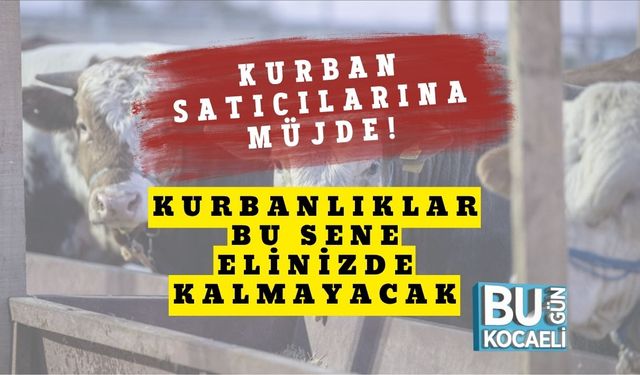 Kurban Satıcılarına Müjde! Kurbanlıklar Bu Sene Elinizde Kalmayacak